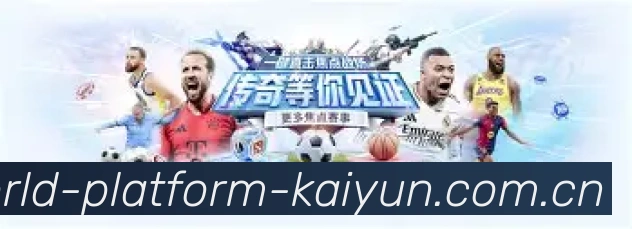 内容板块